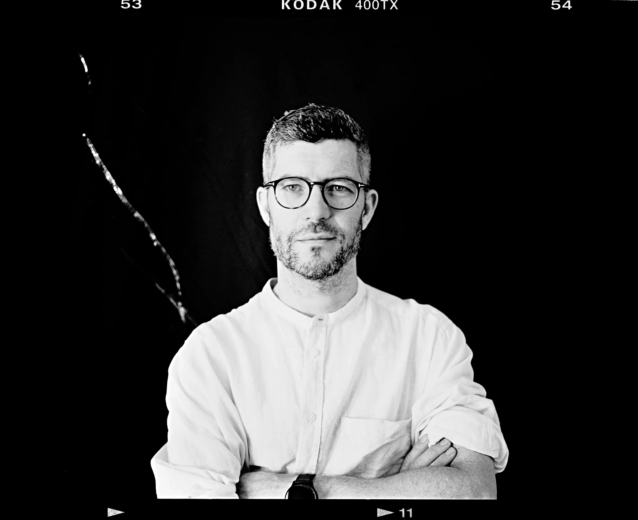 Cellules poétiques - Mutilation des chênes