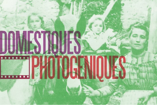 Cellules poétiques - Domestiques photogéniques