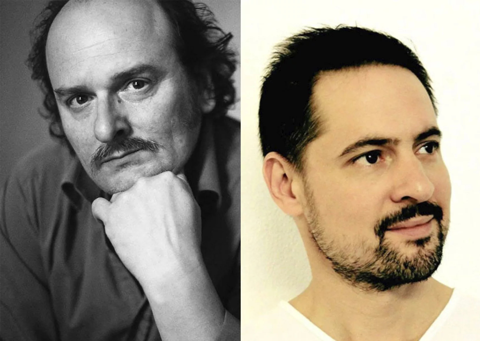 Cellules poétiques - Mutilation des chênes