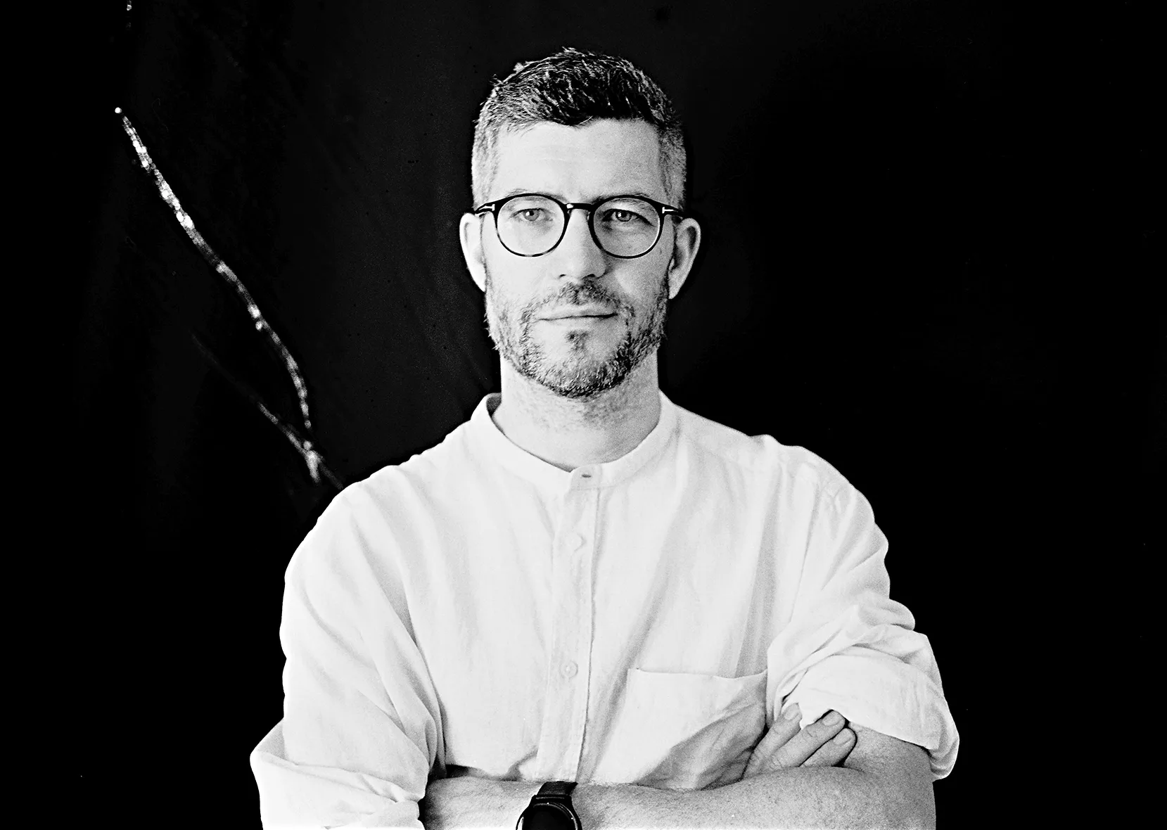 Cellules poétiques - Mutilation des chênes